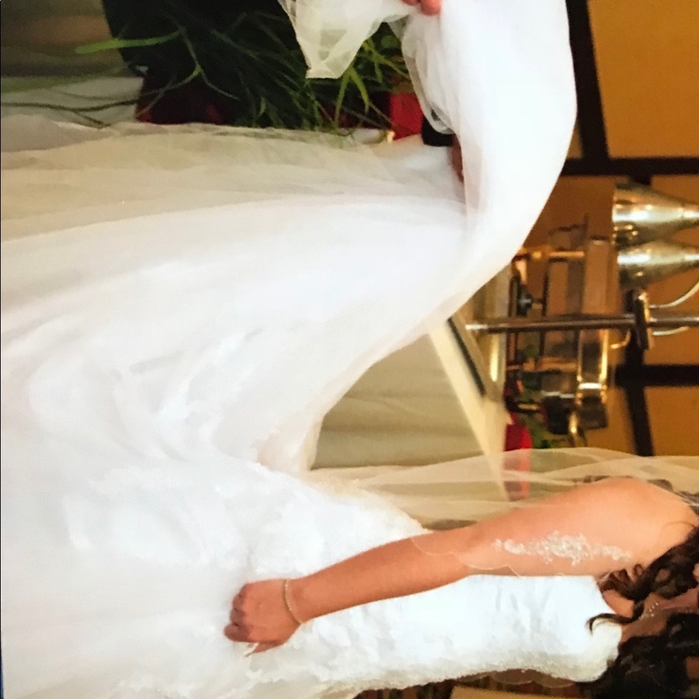 Wedding Dress - Picture 5 of 8